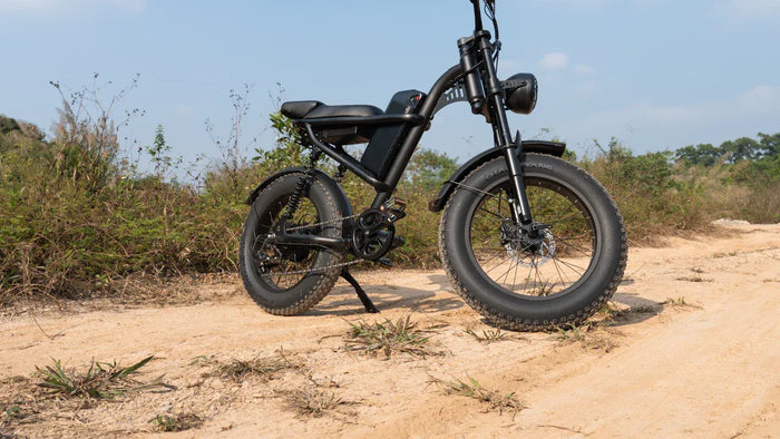 SUV E-Bikes im Vergleich zu regulären E-Bikes: Warum diese All-Terrain-Elektrofahrräder das Offroad-Cycling revolutionieren