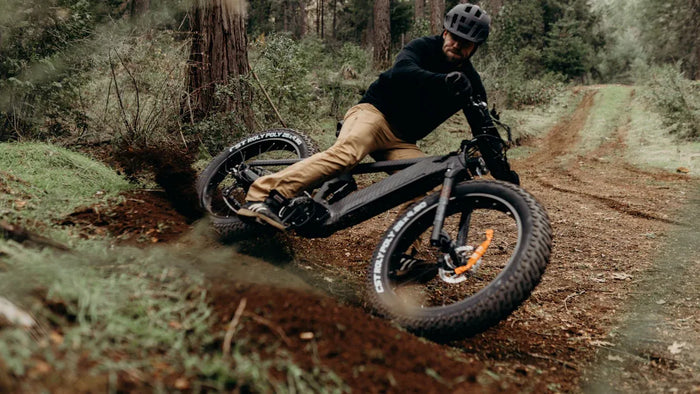 Fat Tire E-Bikes: Ultimativer Leitfaden für All-Terrain E-Biking