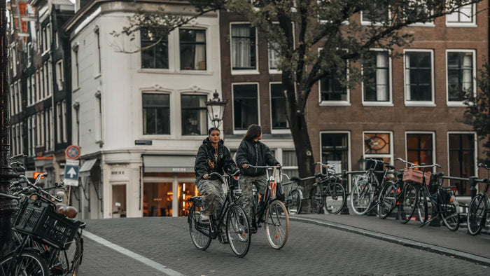 E bike gazelle: Warum Gazelle E-Bikes durch niederländische Ingenieurskunst und Premiumqualität hervorstechen