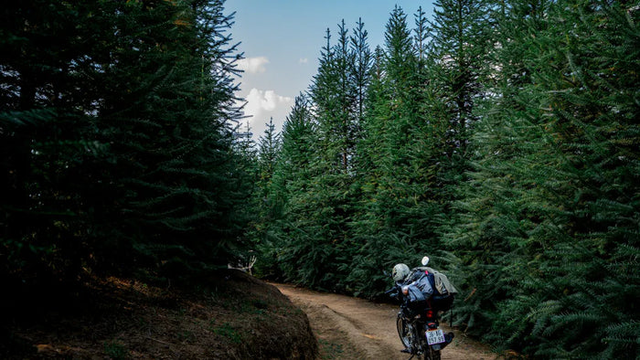 Mountainbikes für herren: Leistung, Haltbarkeit und Preis-Leistungs-Verhältnis 2025