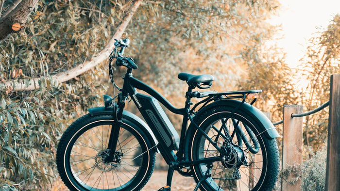 Der vollständige Leitfaden zu Pegasus E-Bikes: Modelle, Funktionen und Leistung