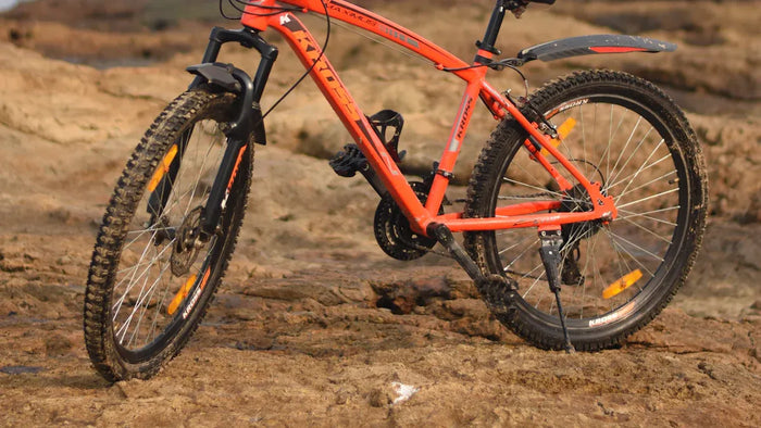 Mountainbike cube herren Leistungsanalyse und Modellvergleich 2025