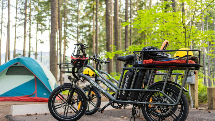 Die Pegasus E-Bike Reihe: Top Modelle und ihre einzigartigen Vorteile