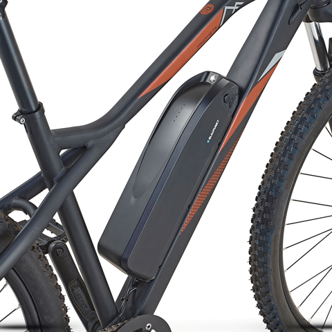 PROPHETE GRAVELER E-MTB 29"