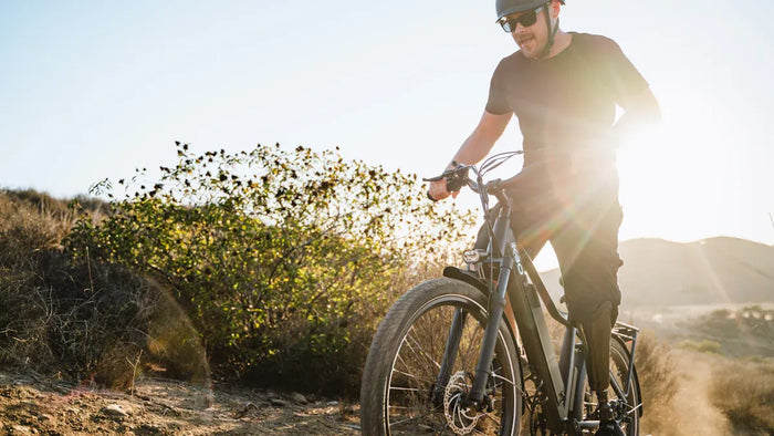 Flyer E-Bikes und Giant: Wie sich die Schweizer Technik mit der Technologie von Giant vergleicht