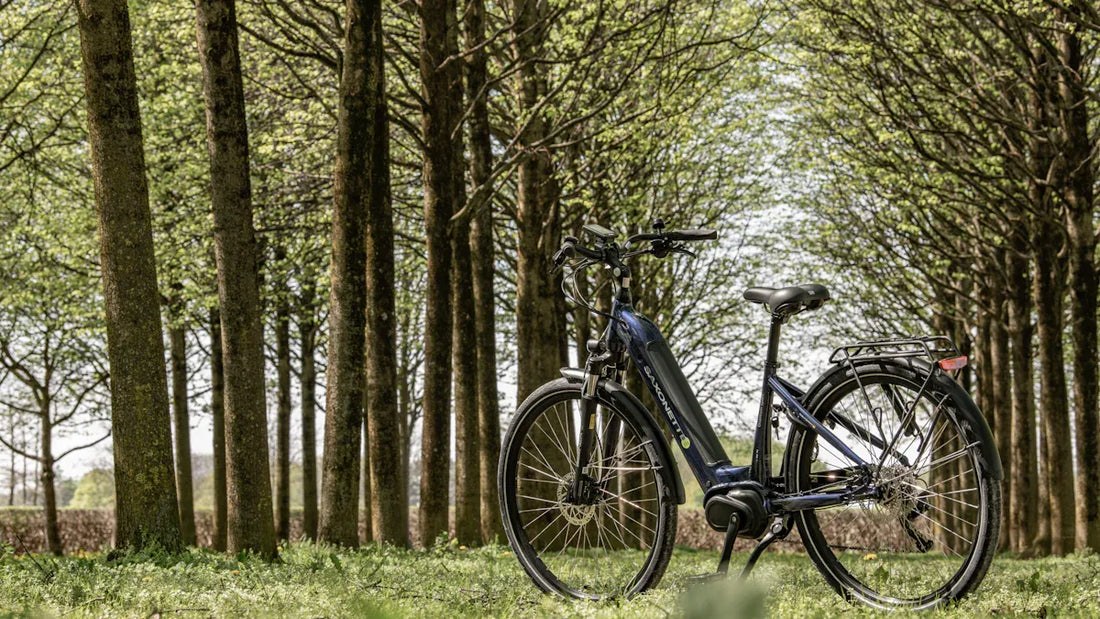 Gudereit E-Bikes vs. Diamant: Deutsche Ingenieurskunst bei E-Bikes