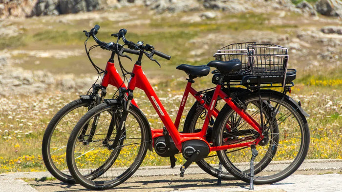 Wie wähle ich den richtigen Motor für mein erstes E-Bike? (Teil 7)