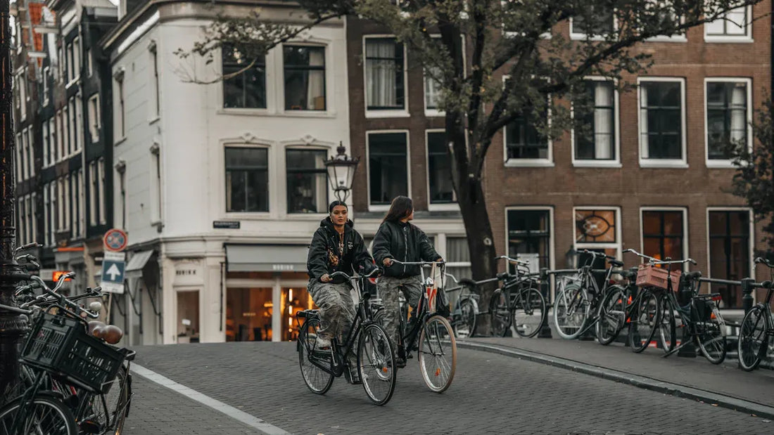 E bike gazelle: Warum Gazelle E-Bikes durch niederländische Ingenieurskunst und Premiumqualität hervorstechen