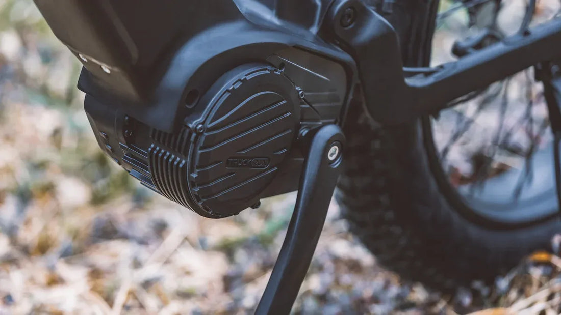 Vergleich der Bosch E-Bike Motor Modelle: Performance Line CX vs. Active Line vs. Cargo Line