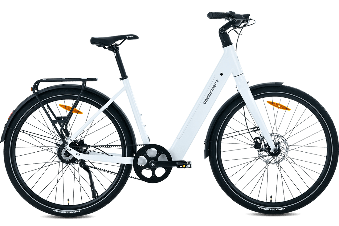 Wie das E-City Bike LUNA 2.0 DUAL speed eine sanfte Fahrt garantiert