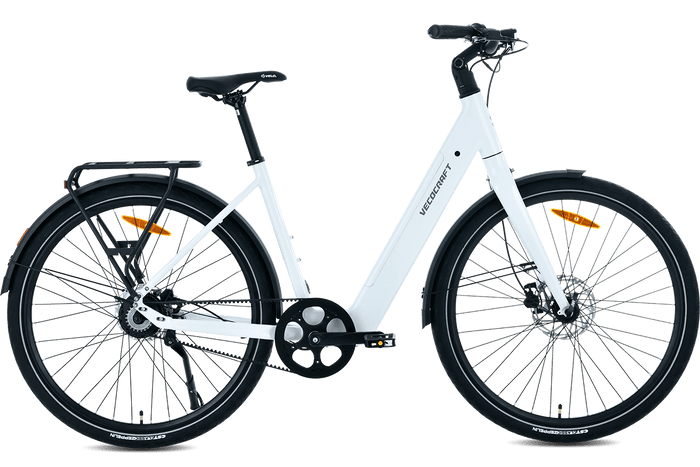 Wie das E-City Bike LUNA 2.0 DUAL speed eine sanfte Fahrt garantiert