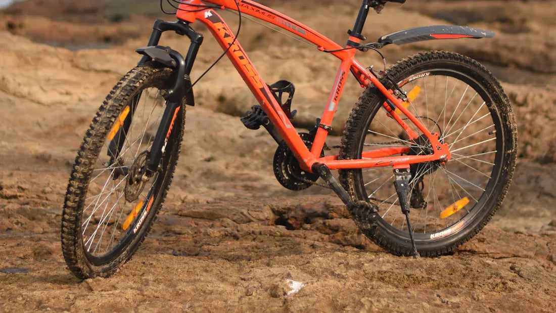 Mountainbike cube herren Leistungsanalyse und Modellvergleich 2025
