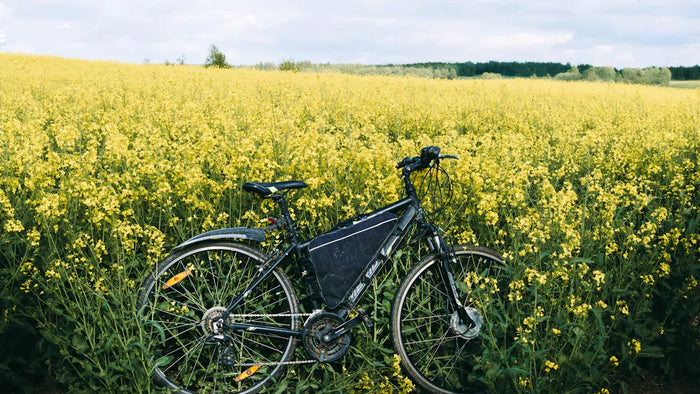Der vollständige Leitfaden zu Diamant E-Bikes: Modelle, Funktionen und Leistung
