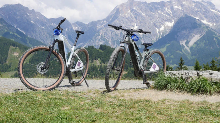 Lucky Bike Rosenheim's Top 5 E-Bike Mittelmotor Modelle für das Radfahren in der Alpenregion