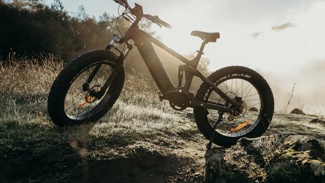 SUV E-Bikes: Funktionen, Vorteile und Top-Modelle für alle Terrains