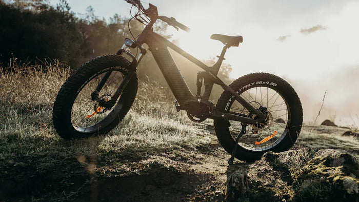 SUV E-Bikes: Funktionen, Vorteile und Top-Modelle für alle Terrains