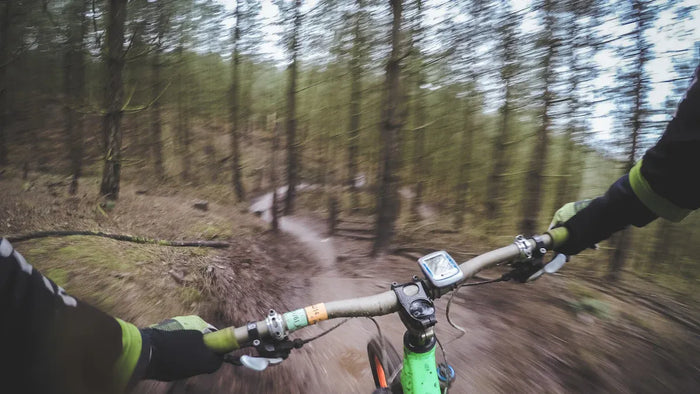 Beerfelden Bikepark: Trails, Einrichtungen und E-Bike-Erlebnis