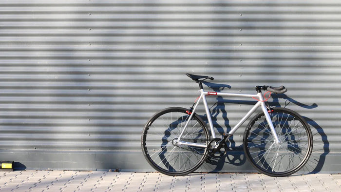 Focus Bike 2025: Sind sie die Investition für ernsthafte Radfahrer wert?