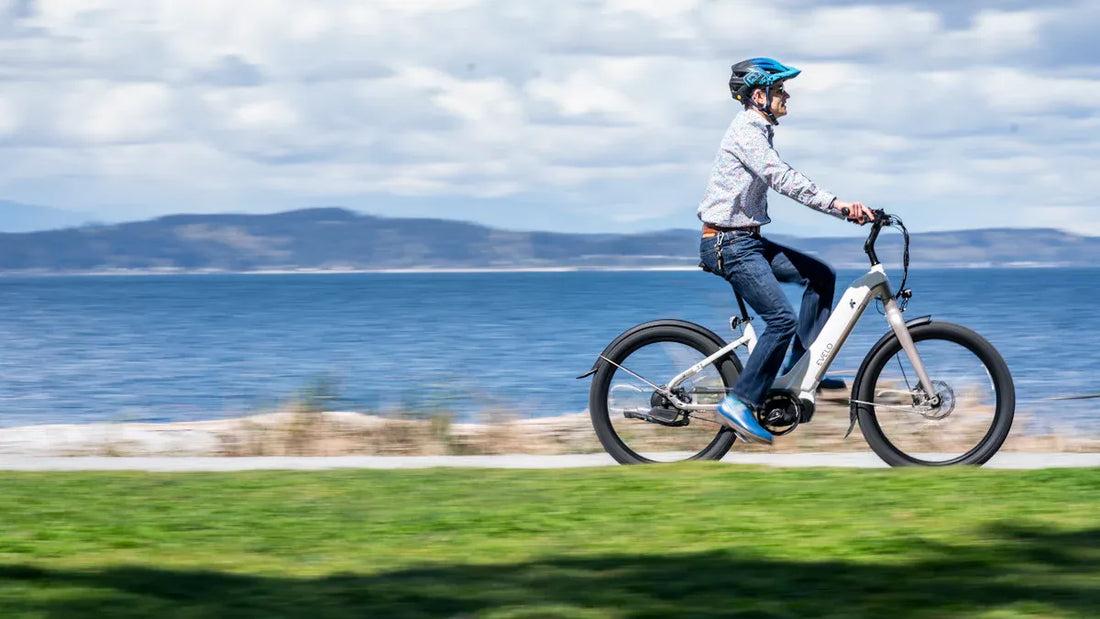 Haibike Trekking 9.0: Langzeit-Haltbarkeit und Leistungsbericht