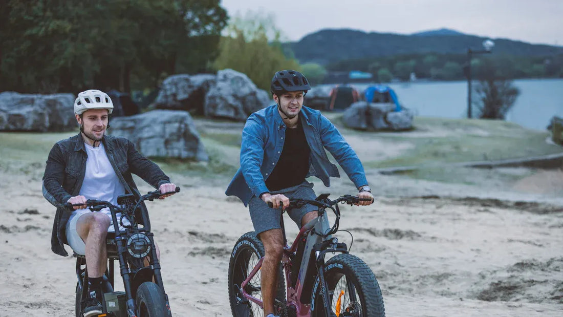 Lucky Bike Ebersberg: Auswahl von E-Bike Mittelmotoren für Freizeitradfahrer und Profis