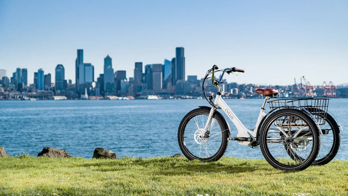 Husqvarna E-Bikes: Swedish Innovation in Off-Road and Urban Electric Cycling
