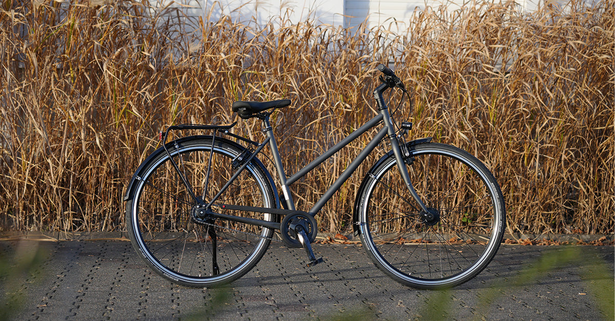 Kreidler City S1, Shimano Nexus 8-Gang Premium, Freilauf, HS22