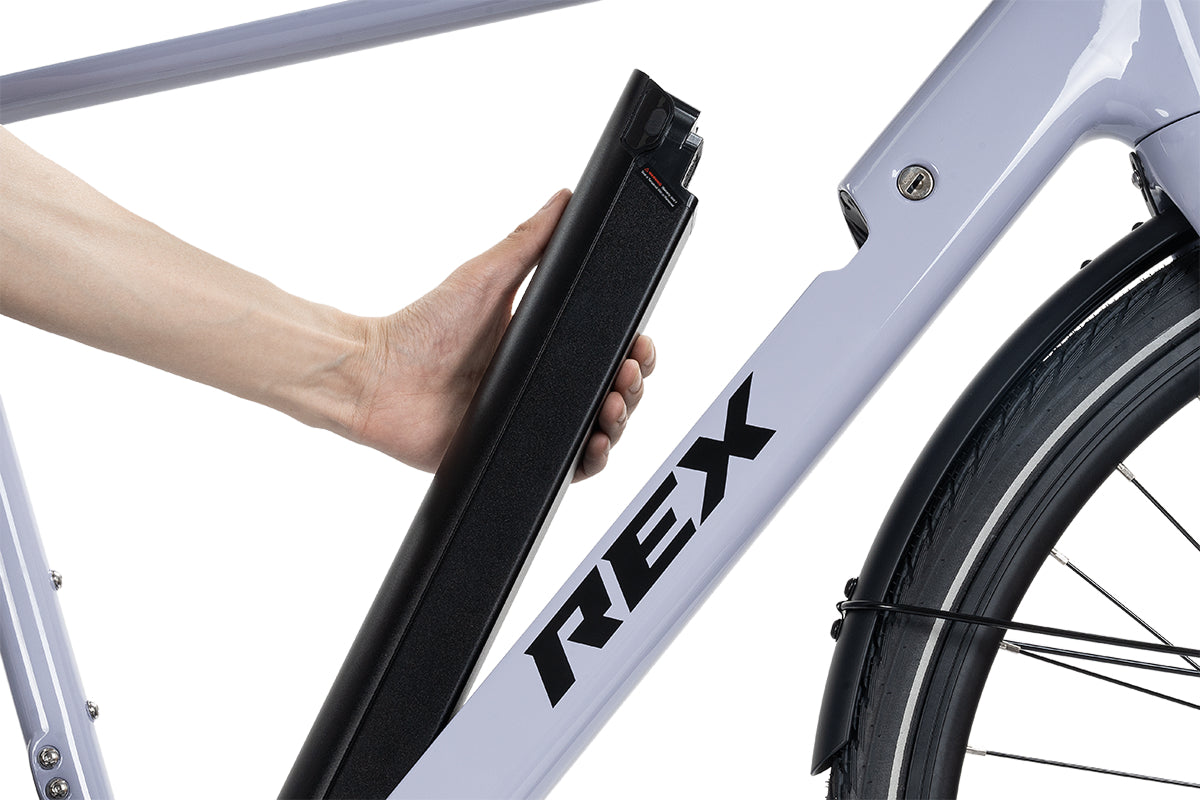 REX Carbon E-Bike 17kg leichter Carbon-Rahmen, 28 Zoll, Damen & Herren