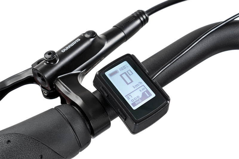 Vergleich mit anderen erschwinglichen E-Bikes